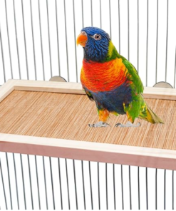 11.8×7.1 Inches Bird Perch Stand Platform, Natural Wooden and Bamboo Small Animals Cage Accessories, Suitable for Parrot Parakeet Cockatiel Rat Hamster Guinea Pig Conure Chinchillas