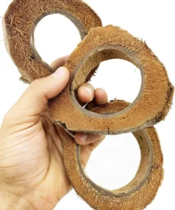 Coconut Bird Toys